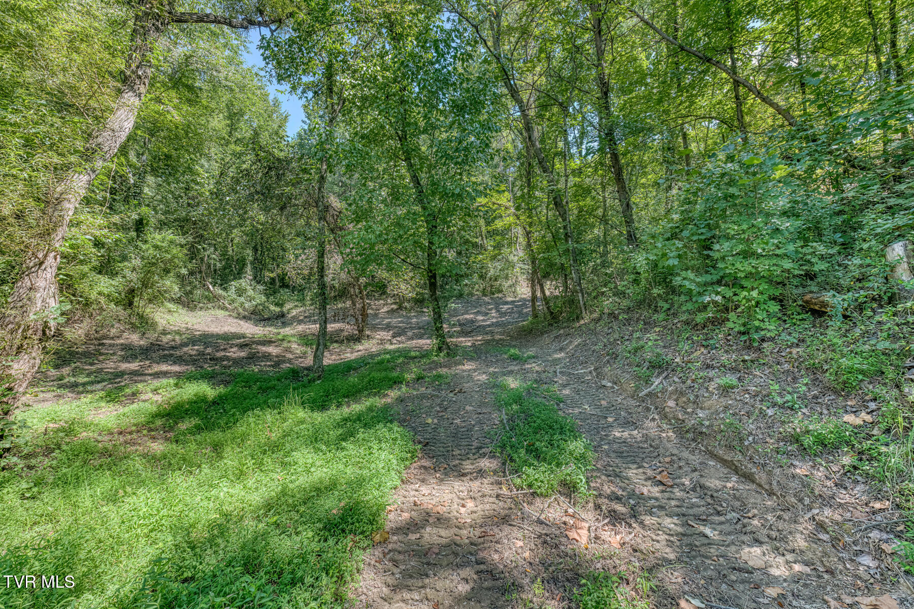 0 Old Cemetery Road Greeneville, TN 37745 - Photo 15 of 37 280 Old Cemetery Rd-14