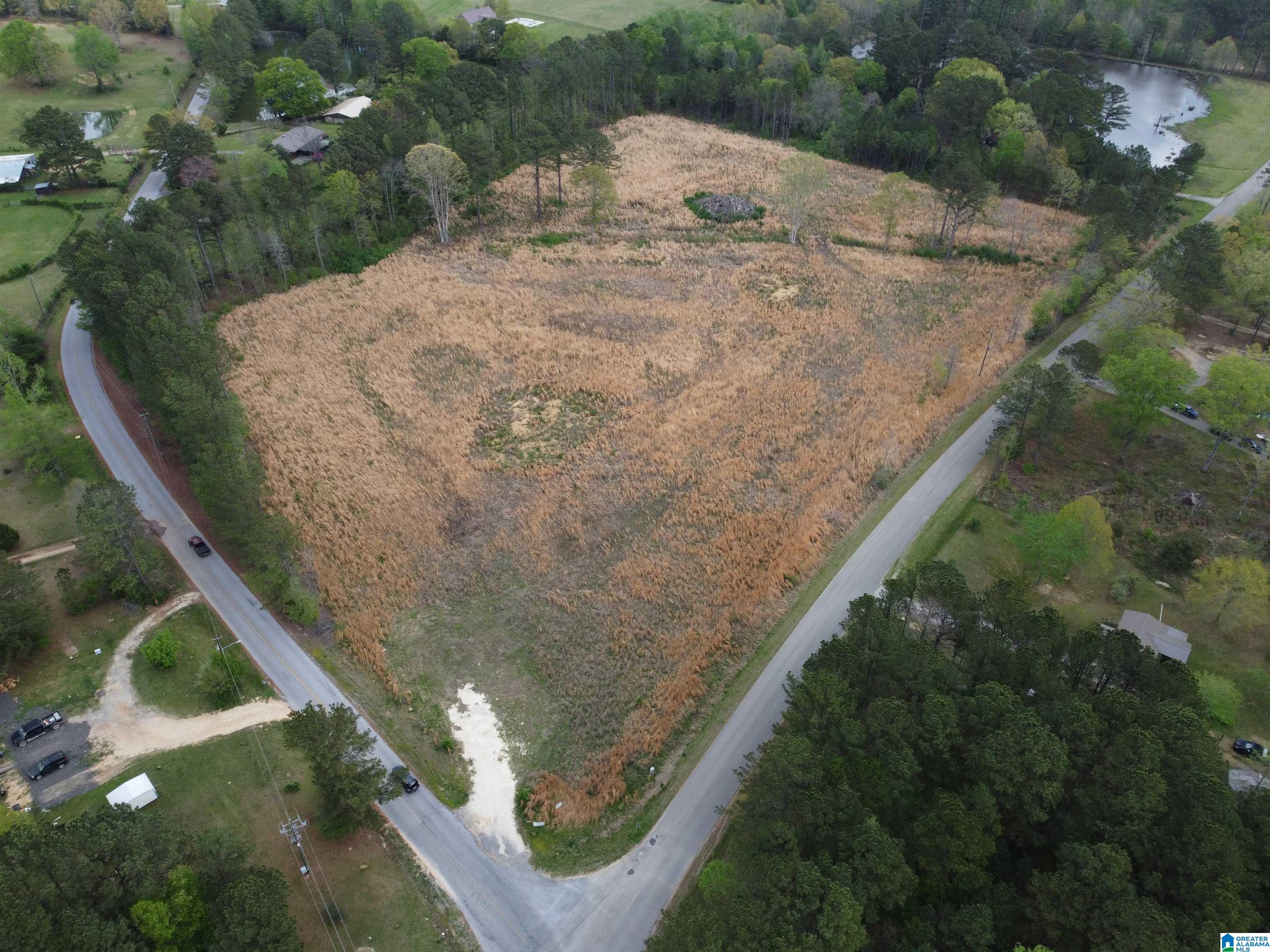 0 Greensport Road Ashville, AL 35953 - Photo 12 of 43