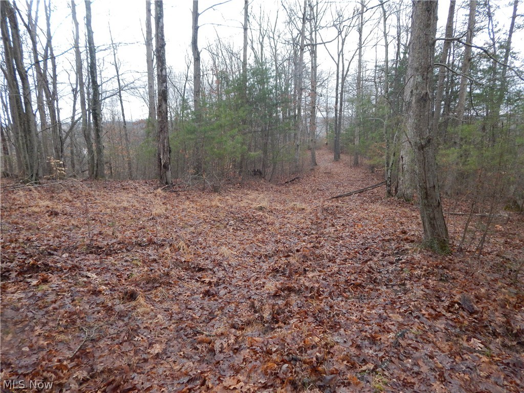 0 Freeport Ridge Road Walker, WV 26180 - Photo 10 of 15
