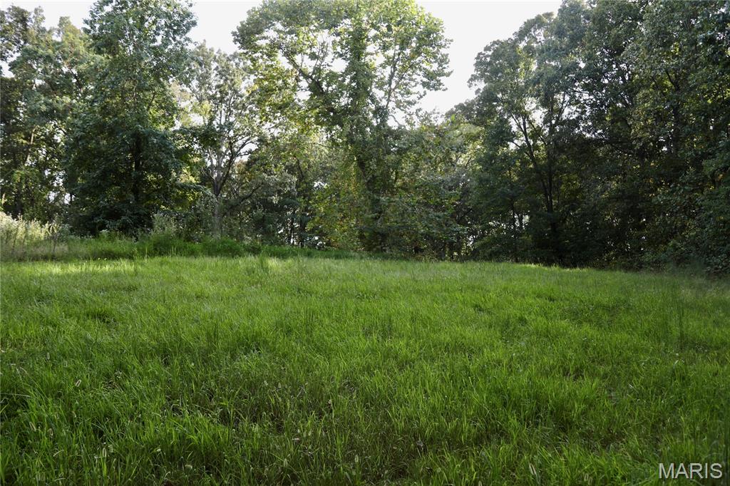 0 Bassett Road Elizabethtown, IL 62931 - Photo 20 of 36 Gallery Image 20