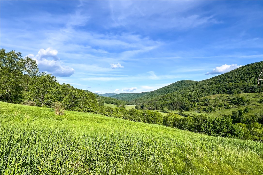 26 Federal Hill Road Delhi, NY 13753 - Photo 12 of 50