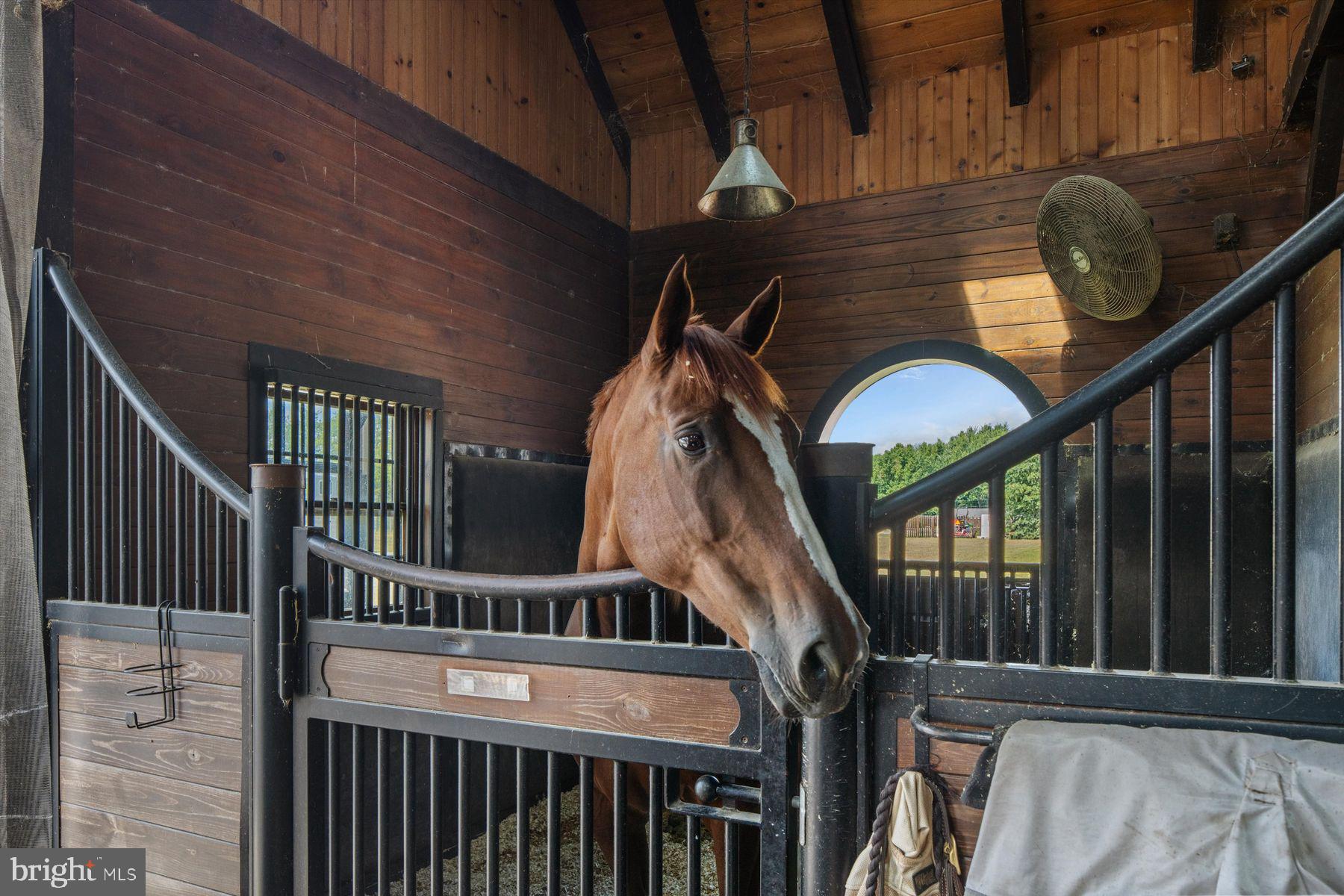 50 Mill Road Swedesboro, NJ 08085 - Photo 74 of 99