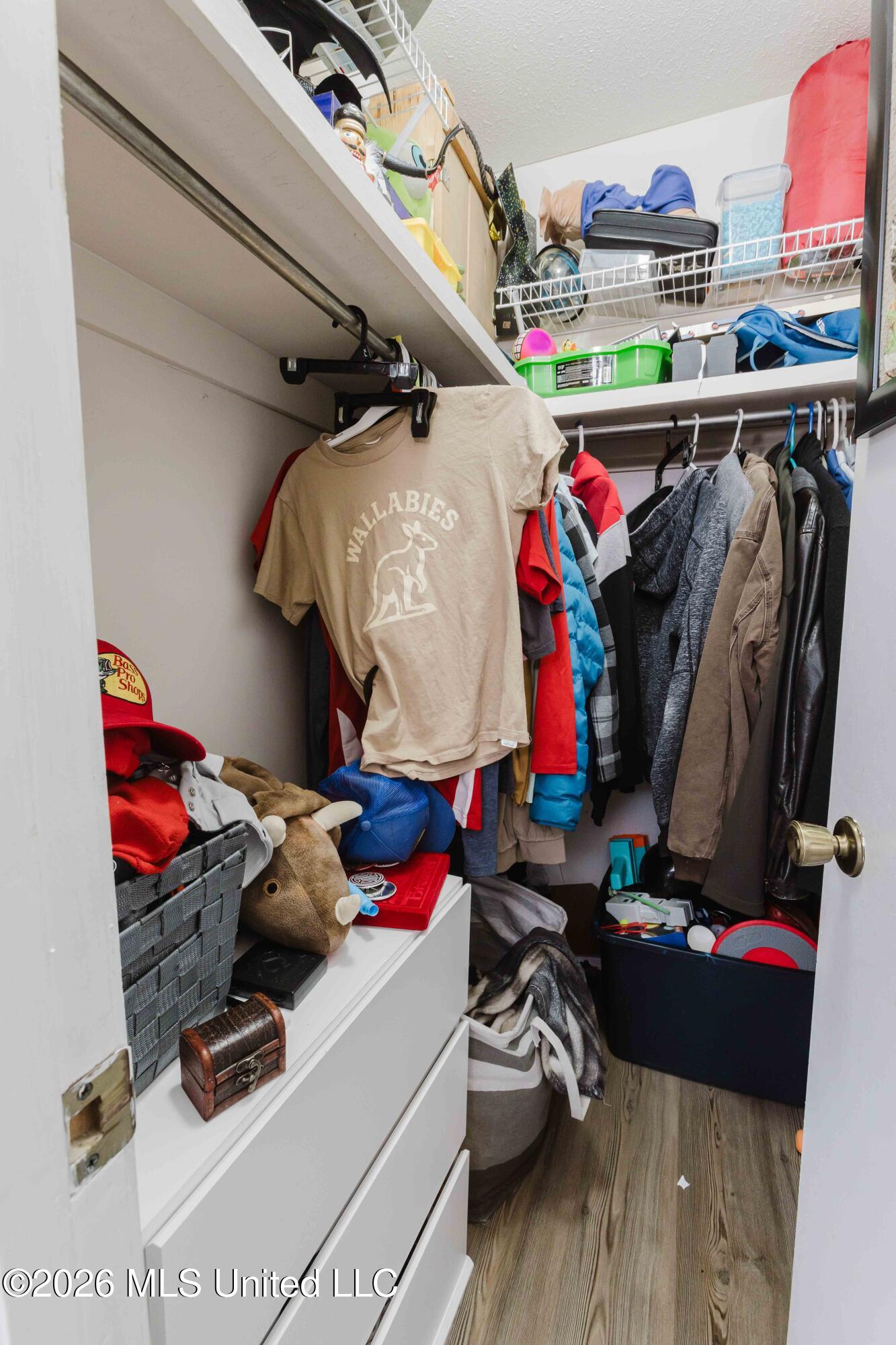 69 Sycamore Lane Brandon, MS 39042 - Photo 24 of 28 watsonphotography260413100952