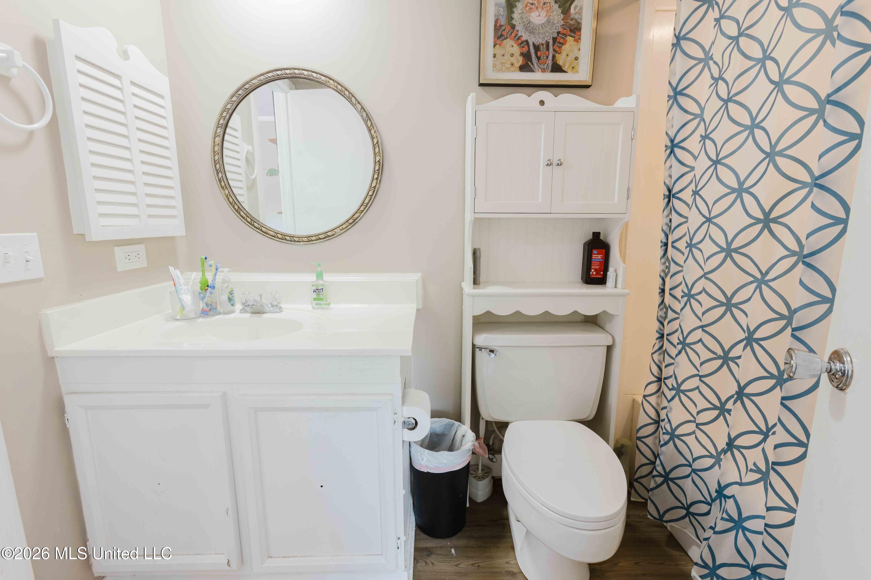 69 Sycamore Lane Brandon, MS 39042 - Photo 25 of 28 watsonphotography260413101038