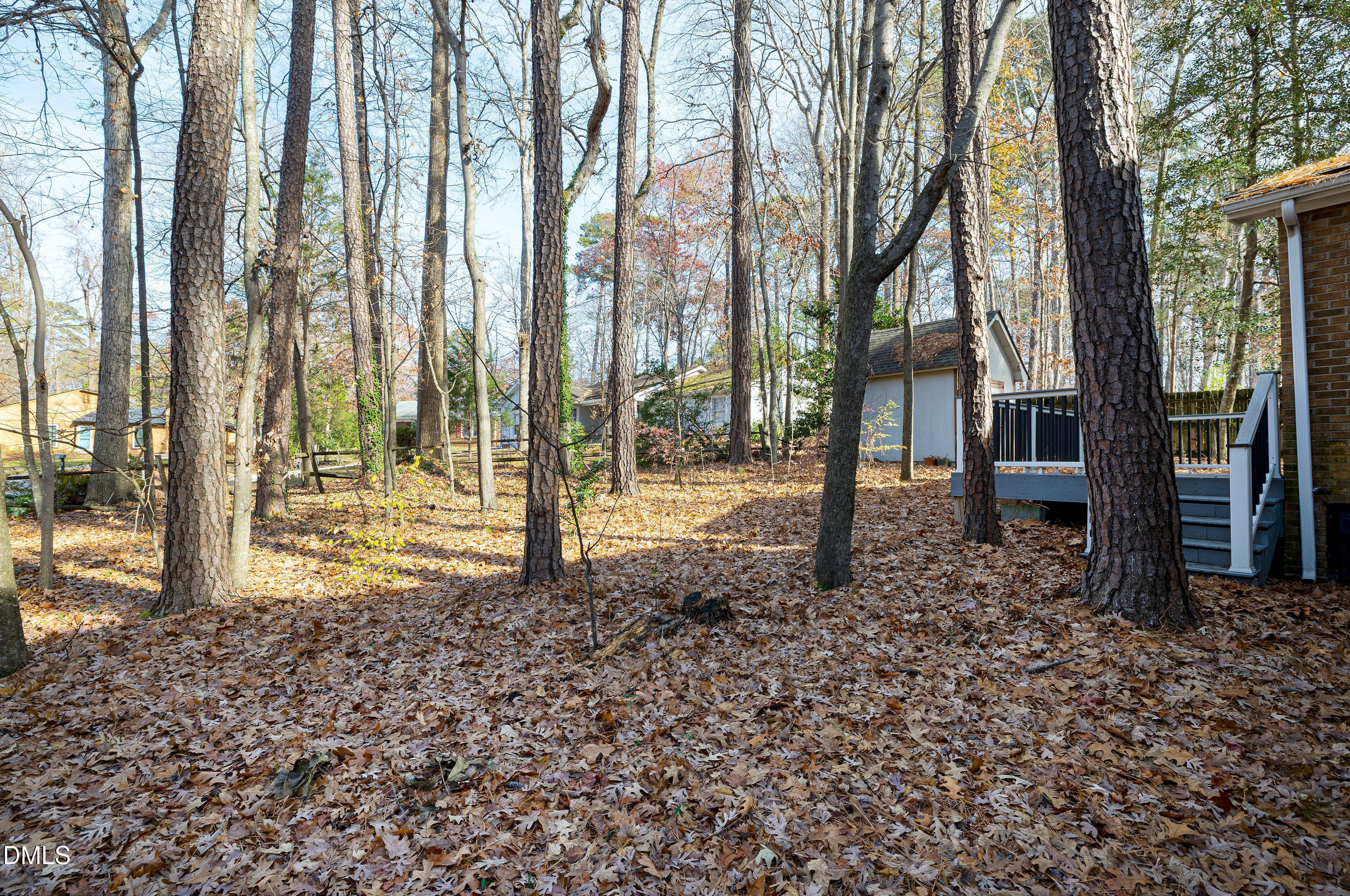 1006 Suterland Road Cary, NC 27511 - Photo 35 of 51 Scene-50