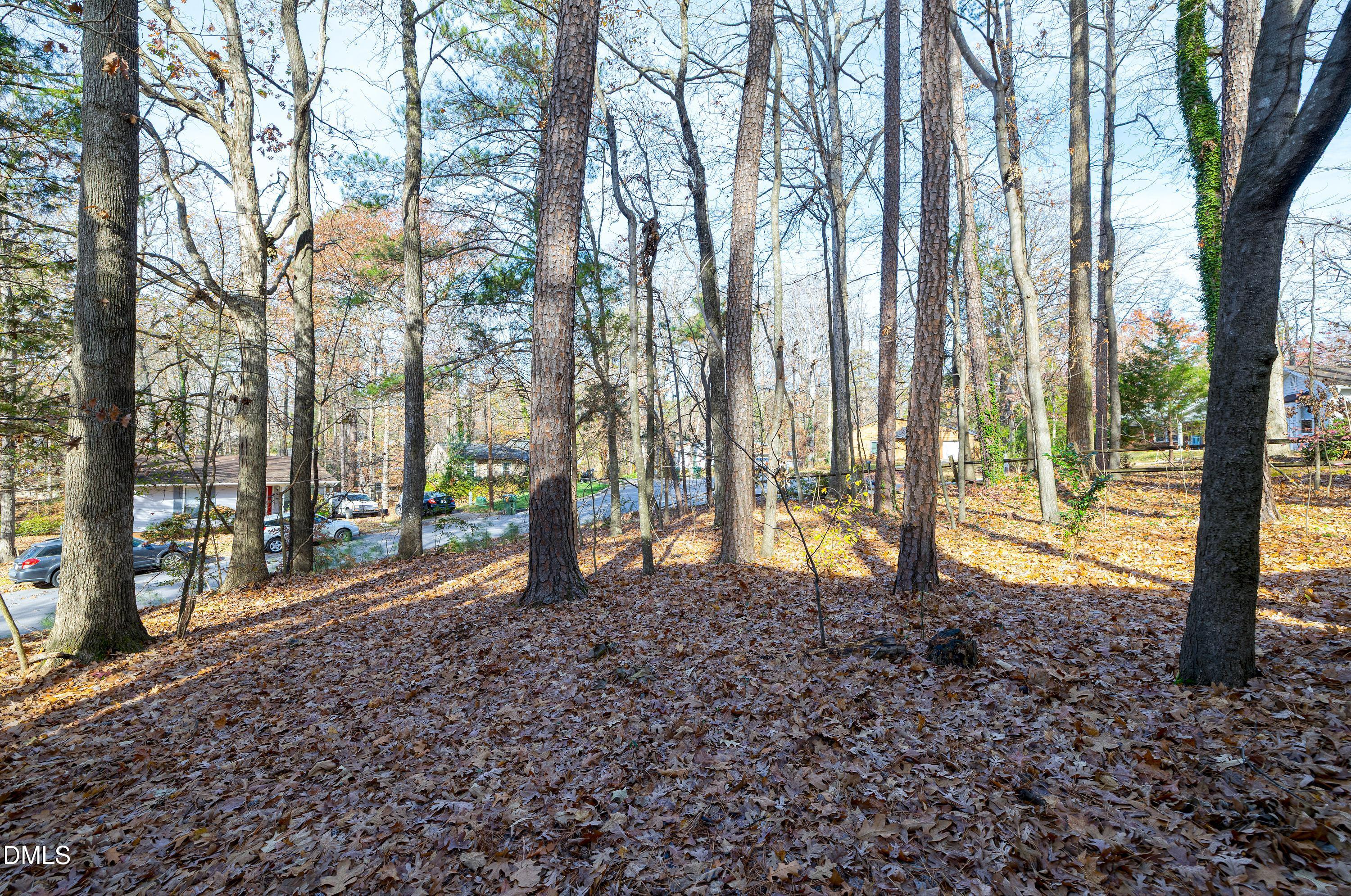 1006 Suterland Road Cary, NC 27511 - Photo 36 of 51 Scene-51