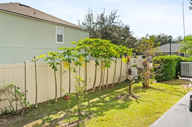a view of a backyard with plants