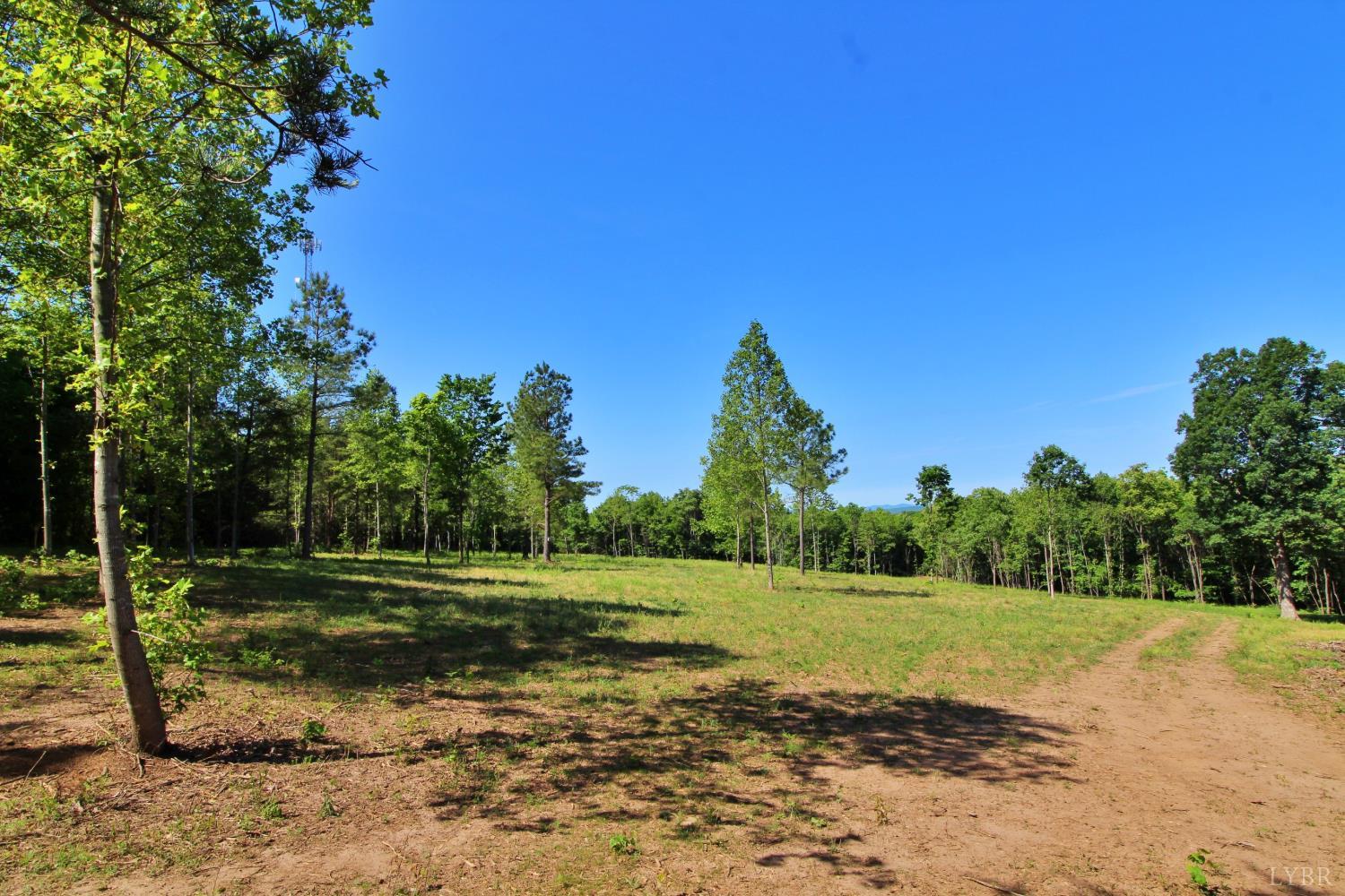 0 Tower Hill Road Appomattox, VA 24522 - Photo 1 of 11