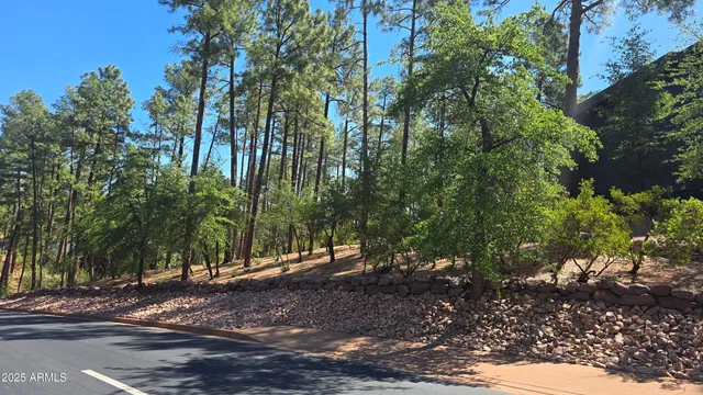 a view of a street with a tree