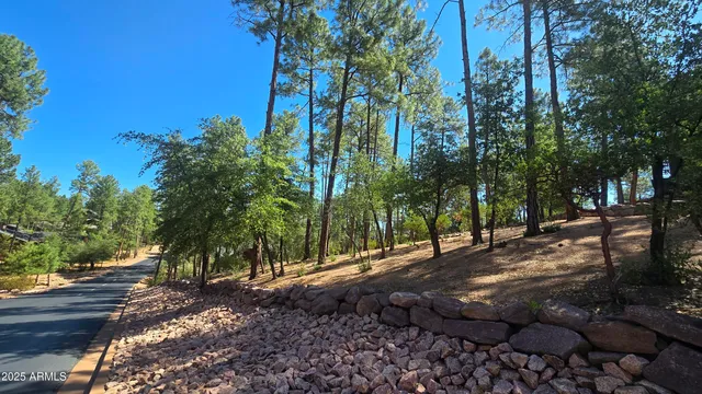 a view of a yard with plants and trees