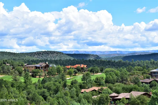 a view of a garden with houses