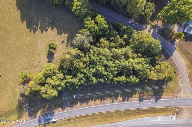 a view of swimming pool with a garden