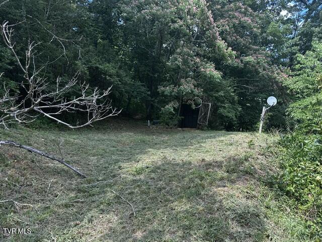 230 Ridge Road Weber City, VA 24290 - Photo 9 of 46 IMG_0590