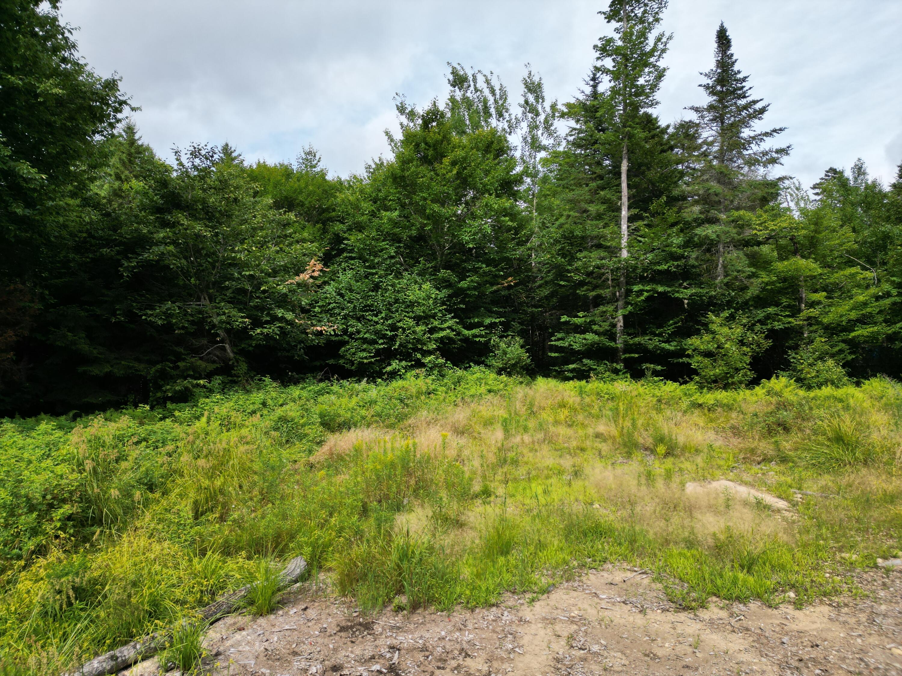 Lot 28 Off Ames Road Lee, ME 04455 - Photo 3 of 17 DJI_0965