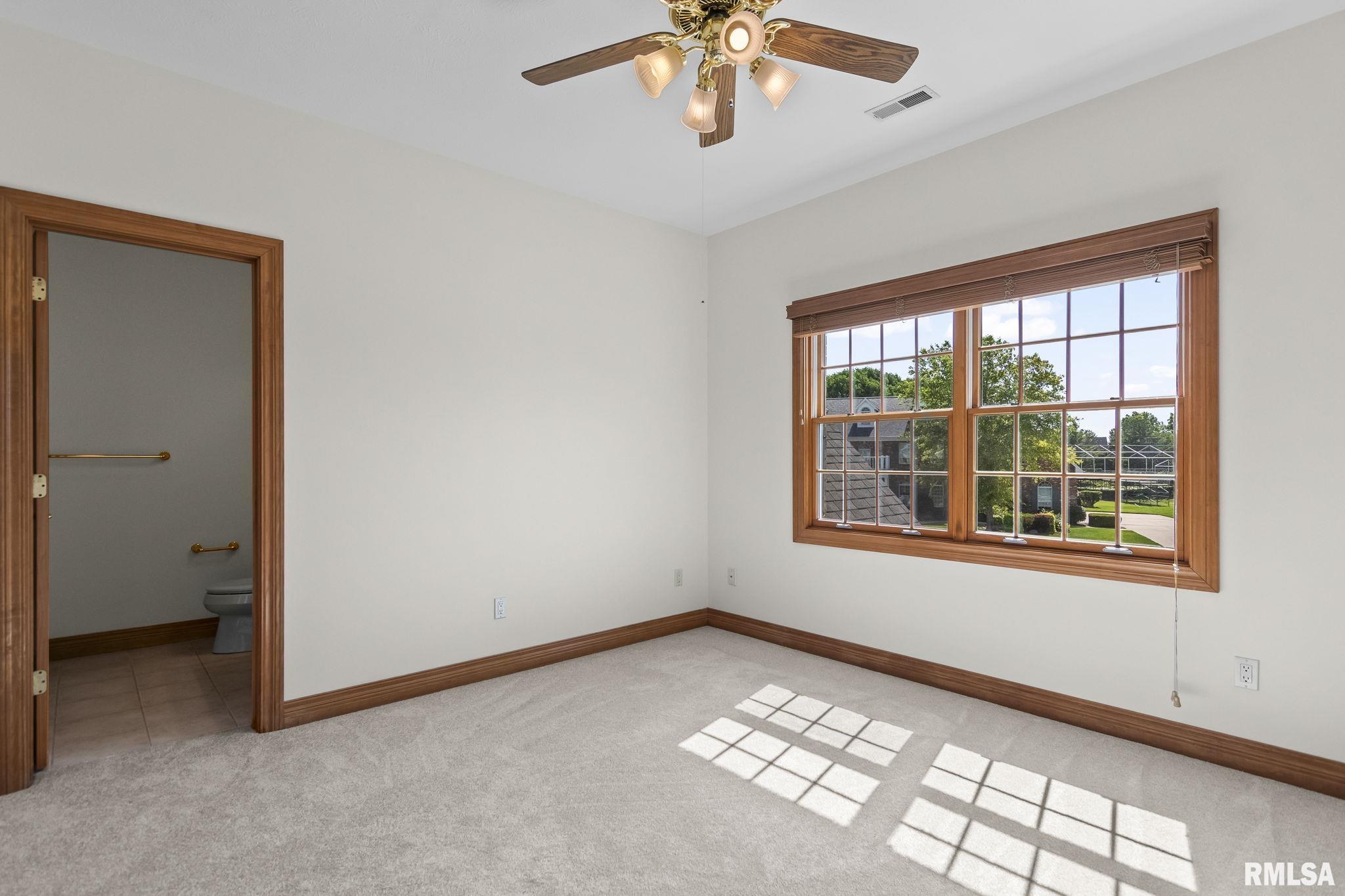 4809 Bears Paw Court Springfield, IL 62711 - Photo 46 of 70
