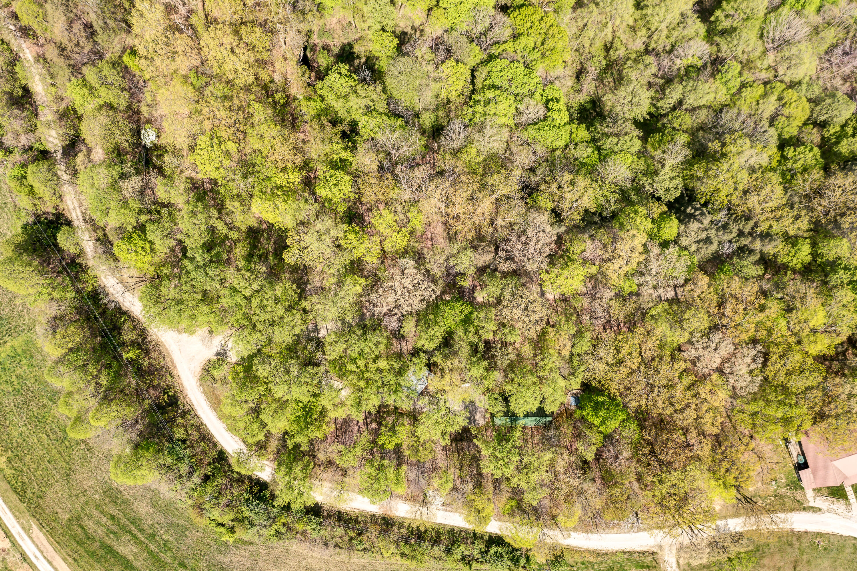 870 Steve Combs Road Wellington, KY 40387 - Photo 45 of 48 DJI_0129-Edit