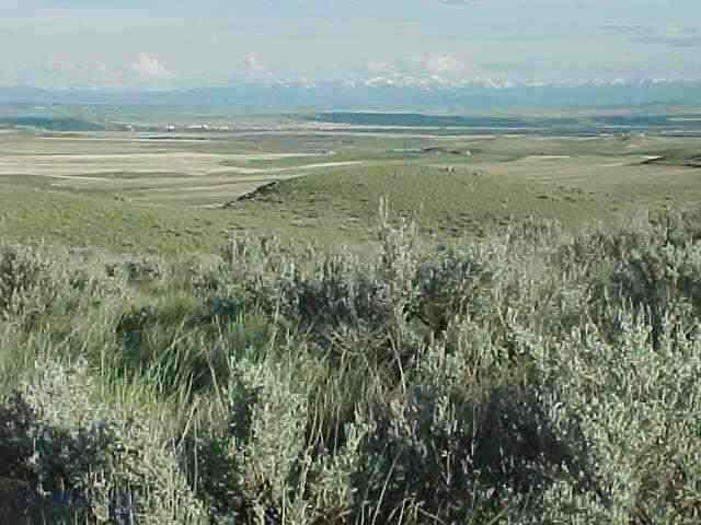1 C Hilltop Loop Road Three Forks, MT 59752 - Photo 1 of 1 Gallery Image 1