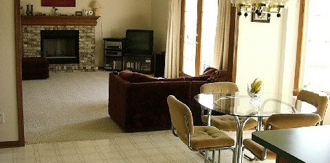 10596 Chicory Ridge Way Roscoe, IL 61073 - Photo 5 of 6 a living room with furniture a flat screen tv and a fireplace