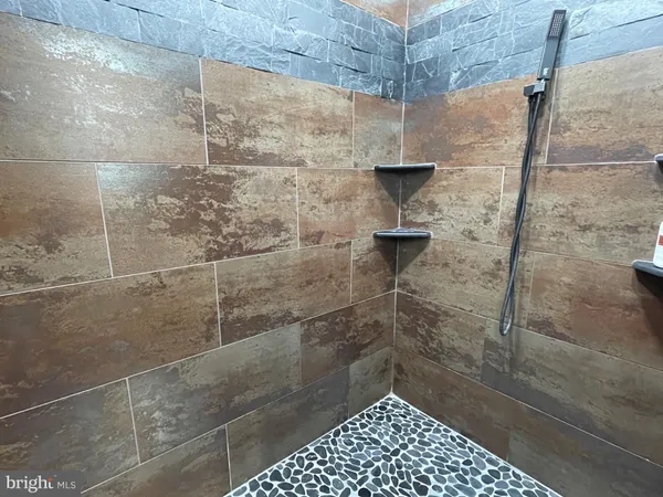 a bathroom with a shower and a toilet