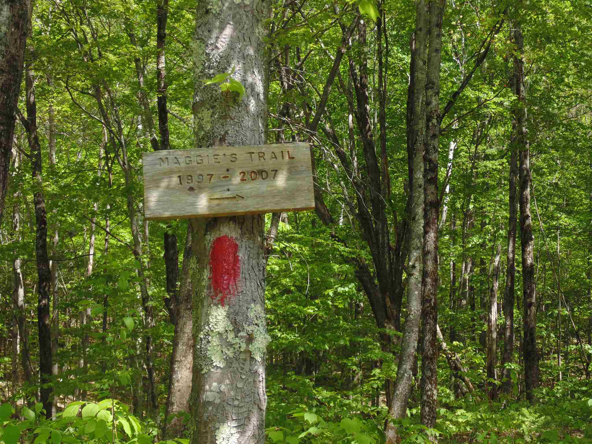 744 Squam Lake Road Sandwich, NH 03227 - Photo 35 of 37 Gallery Image 35