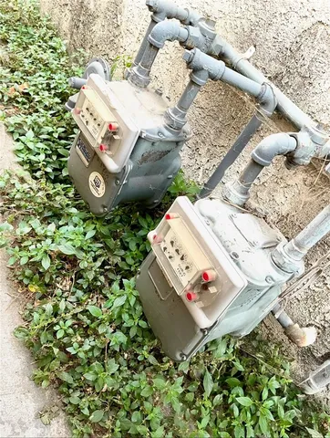 an aerial view of a house with a yard and flowers
