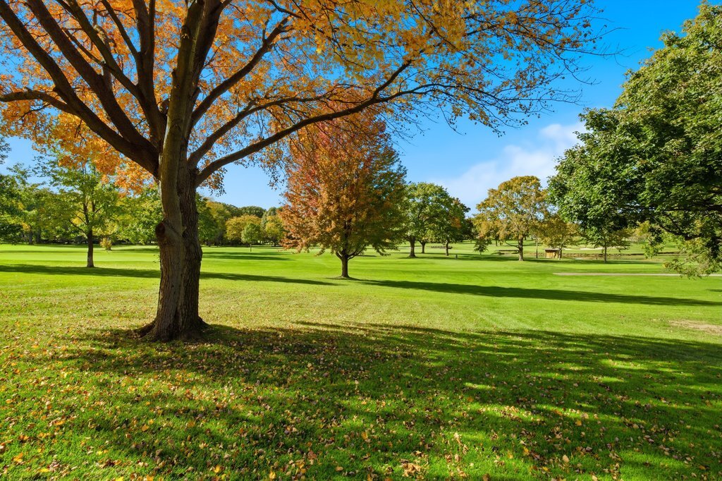 90 Golfview Lane, Unit D Frankfort, IL 60423 - Photo 5 of 27 a view of a park with large trees