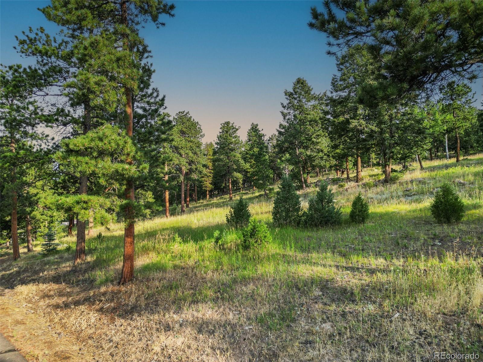 26543 Richmond Hill Road Conifer, CO 80433 - Photo 12 of 37