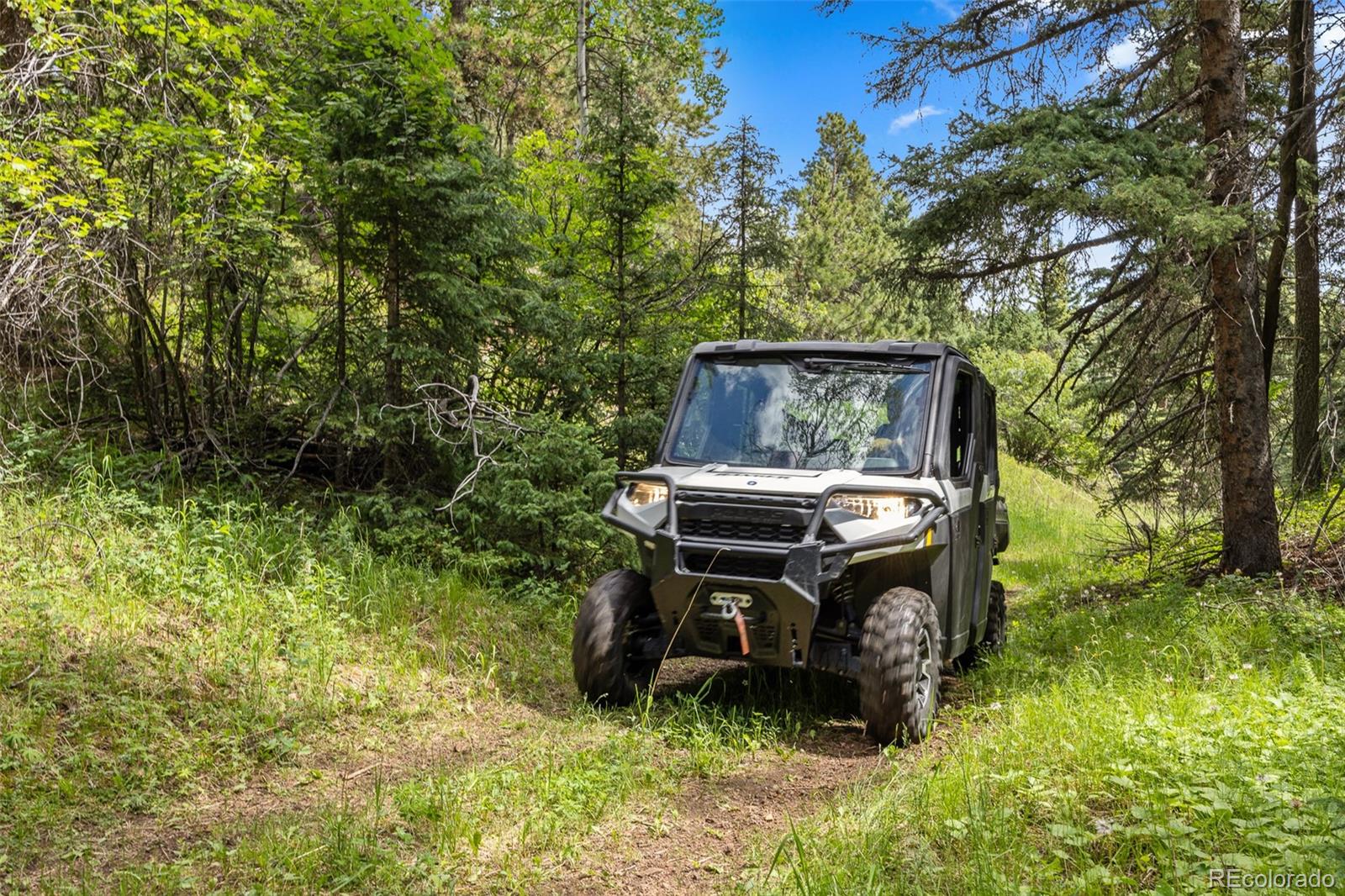 26543 Richmond Hill Road Conifer, CO 80433 - Photo 14 of 37
