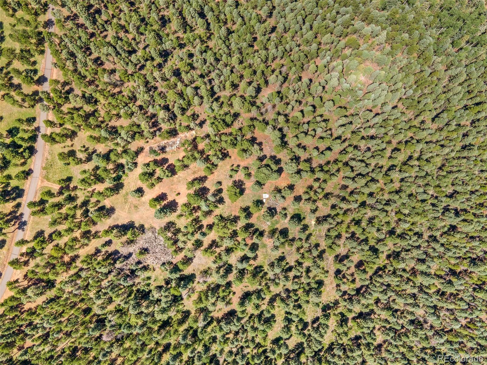 26543 Richmond Hill Road Conifer, CO 80433 - Photo 24 of 37