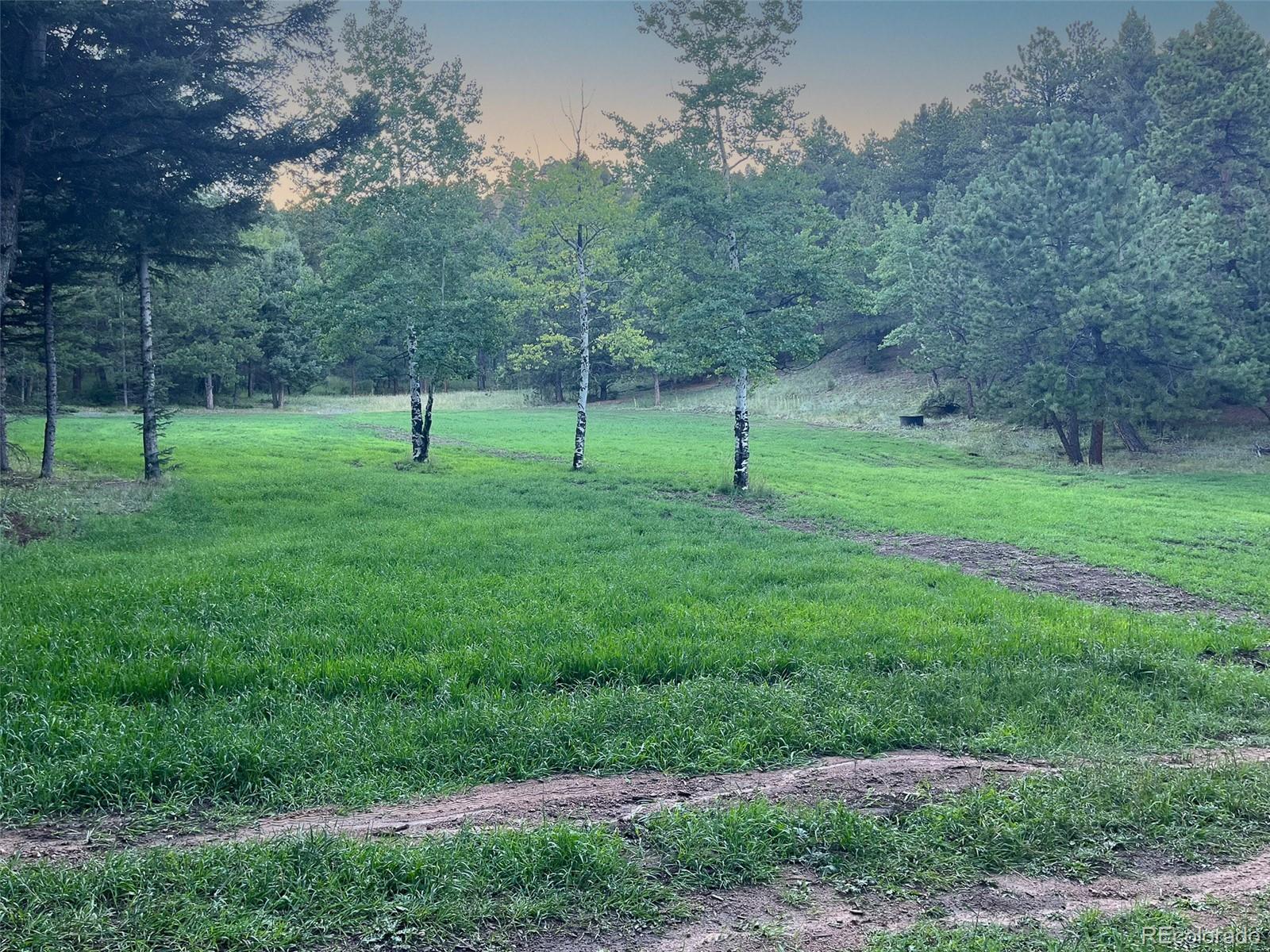 26543 Richmond Hill Road Conifer, CO 80433 - Photo 31 of 37