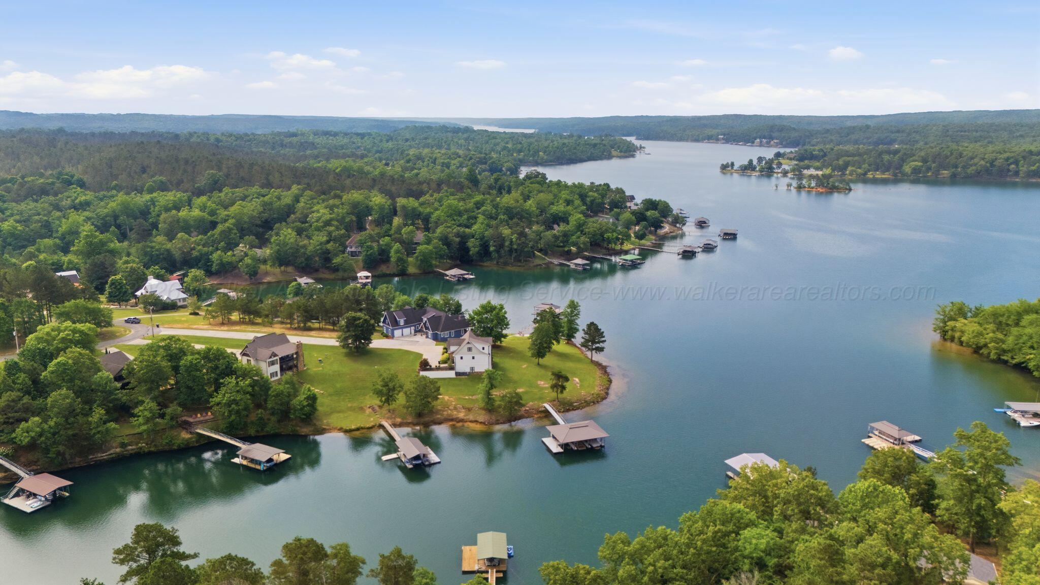 188 Rock Shore Road Arley, AL 35541 - Photo 35 of 41 Aerial