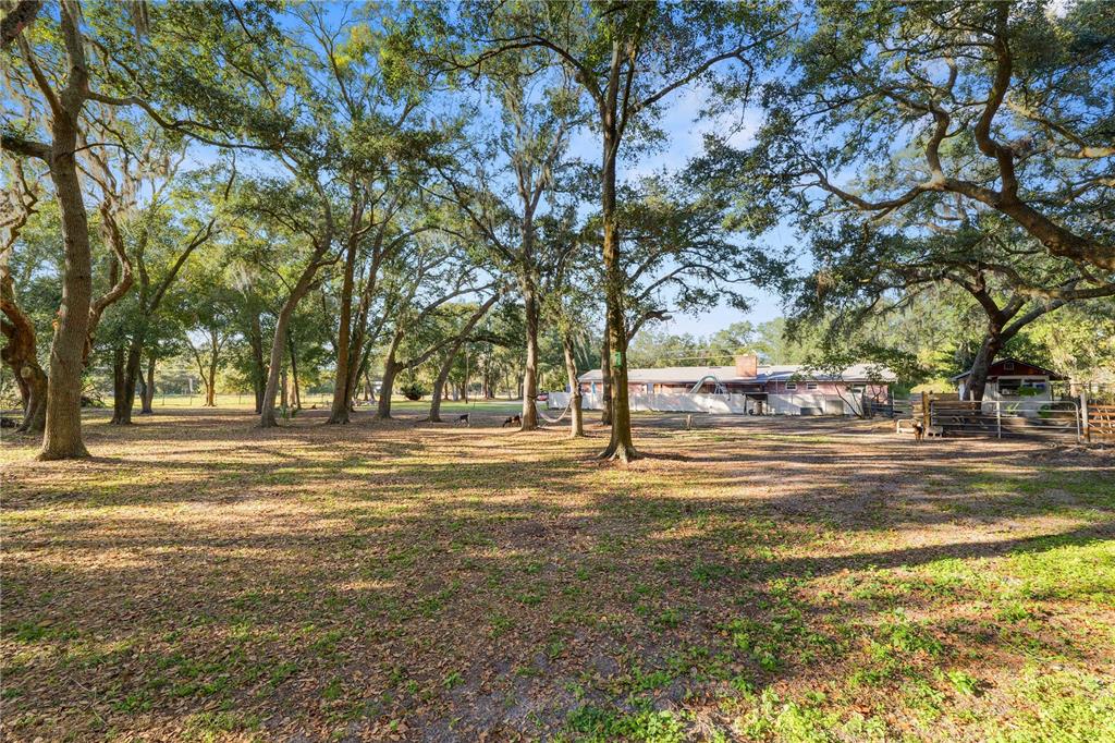 4615 Old Polk City Road Lakeland, FL 33809 - Photo 51 of 71 a view of a yard with large trees