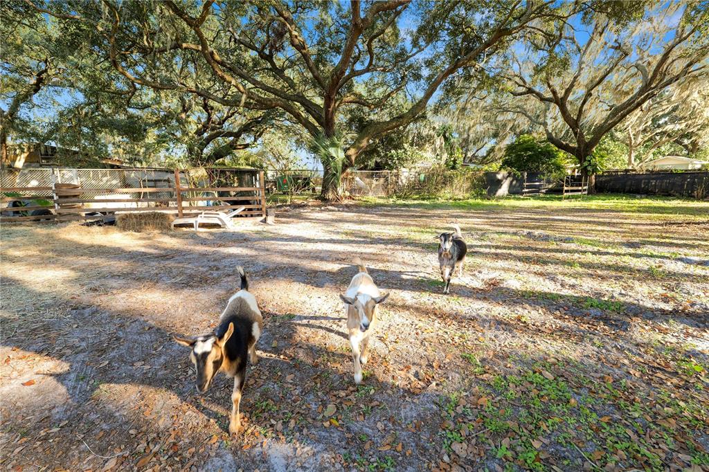 4615 Old Polk City Road Lakeland, FL 33809 - Photo 52 of 71