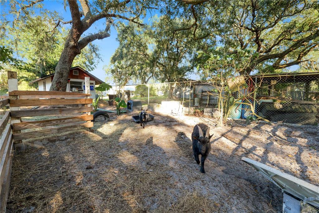 4615 Old Polk City Road Lakeland, FL 33809 - Photo 53 of 71 a view of patio with table and chairs with wooden fence and plants