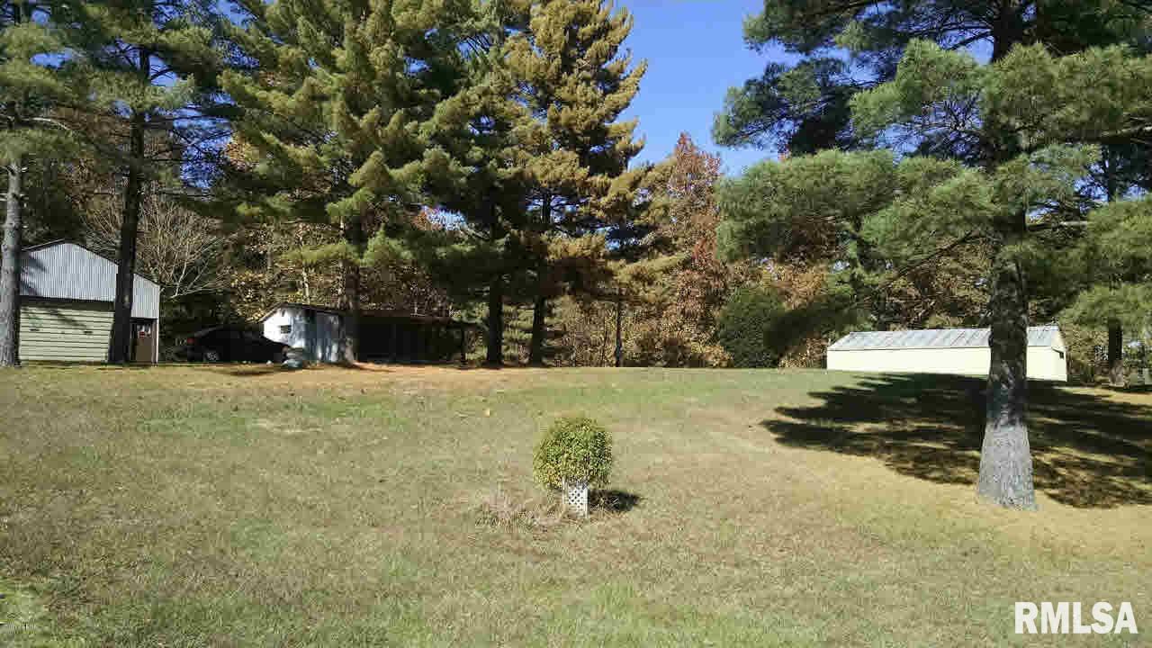 2003 Grange Hall Road Marion, IL 62959 - Photo 6 of 10