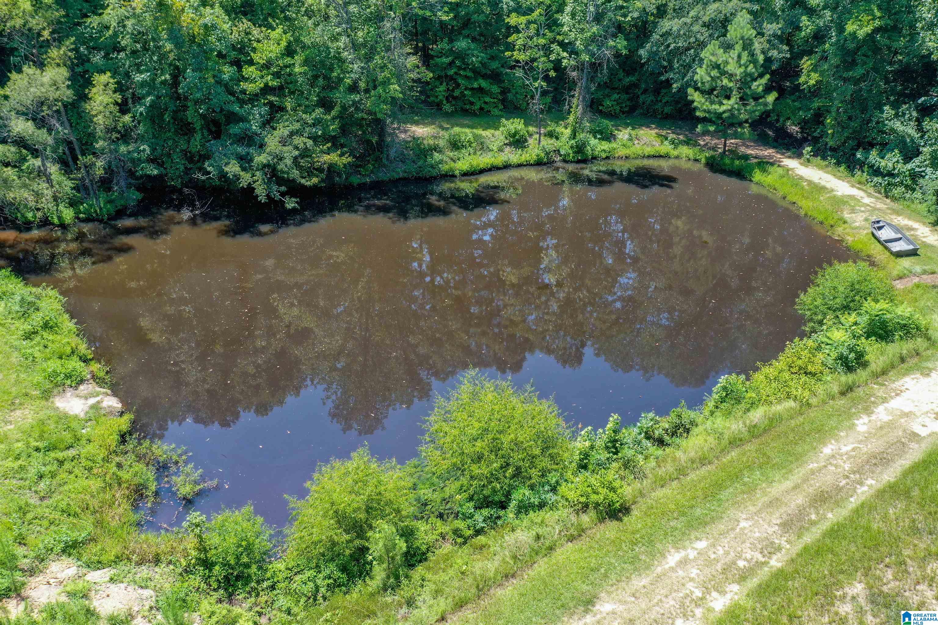939 Buddy Vines Camp Road Bessemer, AL 35023 - Photo 67 of 79