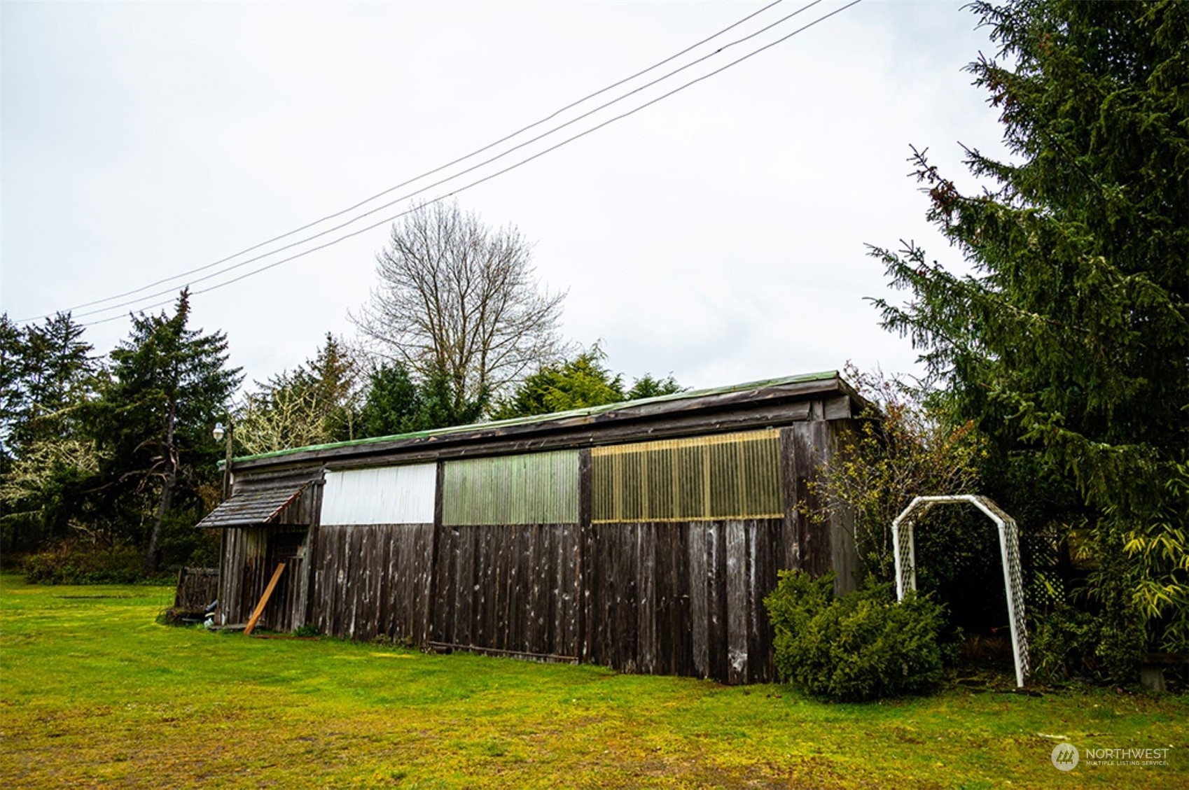 11 Condra Road Copalis Beach, WA 98535 - Photo 21 of 24 a view of a backyard with potted plants