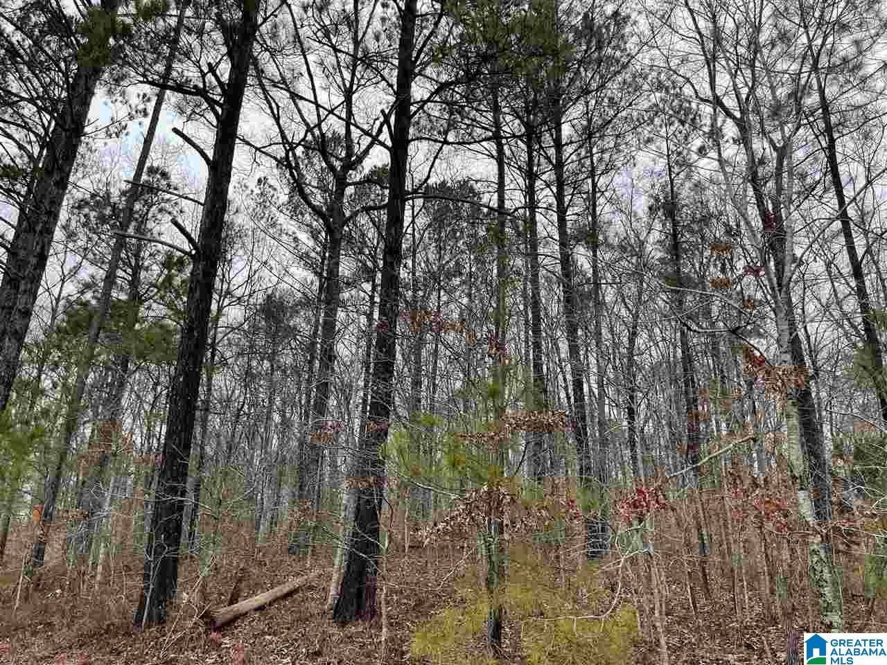 59 County Road, Unit 30 Heflin, AL 36264 - Photo 18 of 24