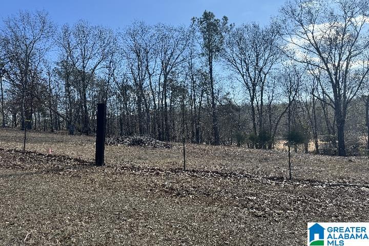 1036 Rushing Springs Road Lincoln, AL 35096 - Photo 14 of 58