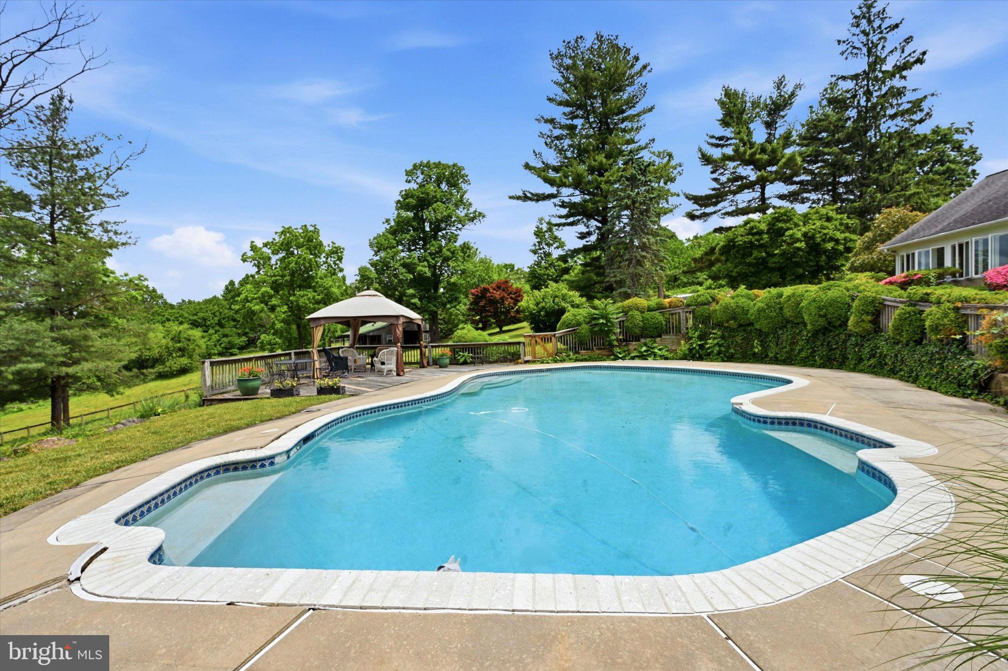 1646 Fairview Road Glenmoore, PA 19343 - Photo 18 of 29 Serene poolside retreat in nature.
