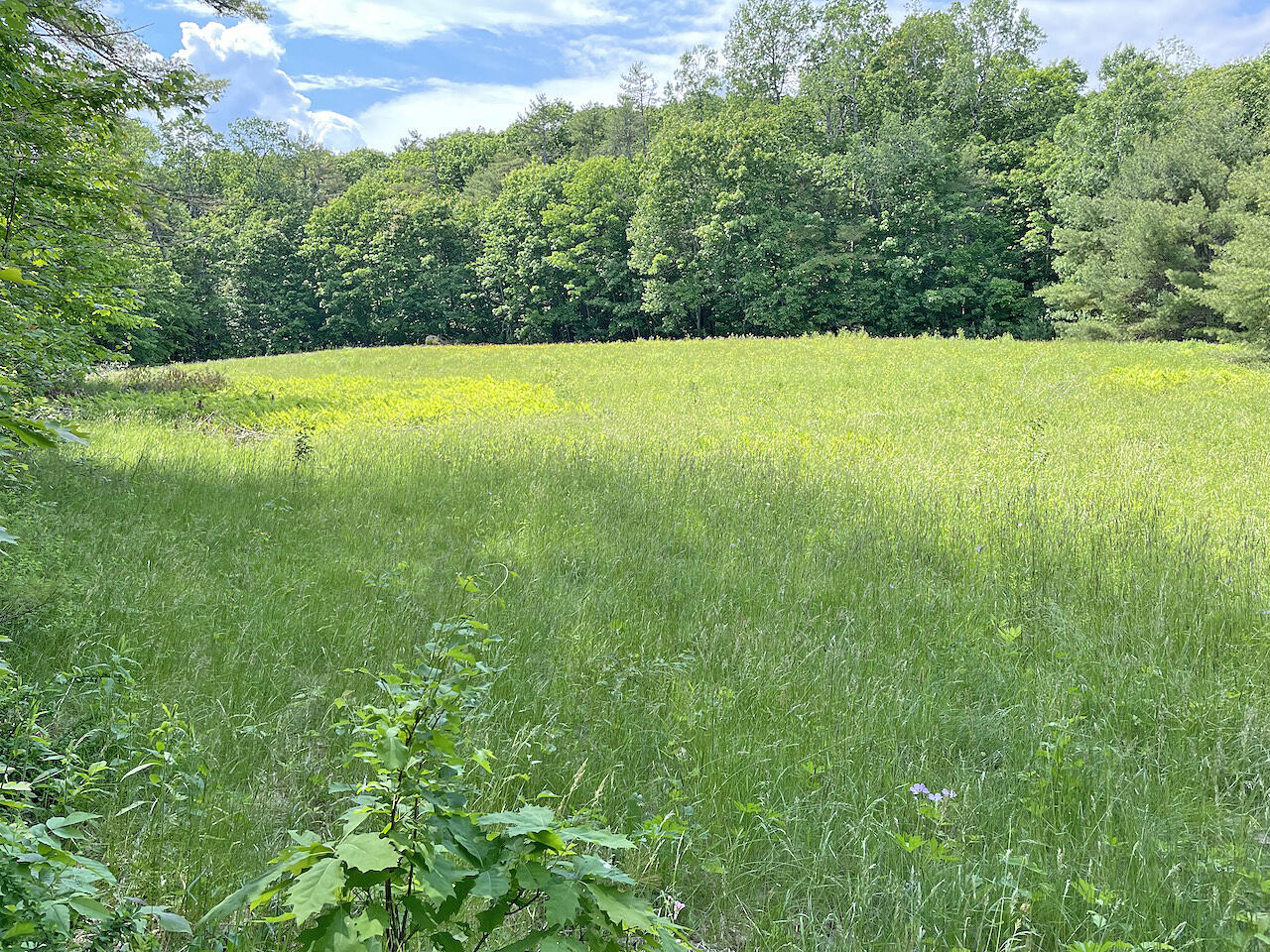 306 Golden Ridge Road Alna, ME 04535 - Photo 22 of 49 Northern Field