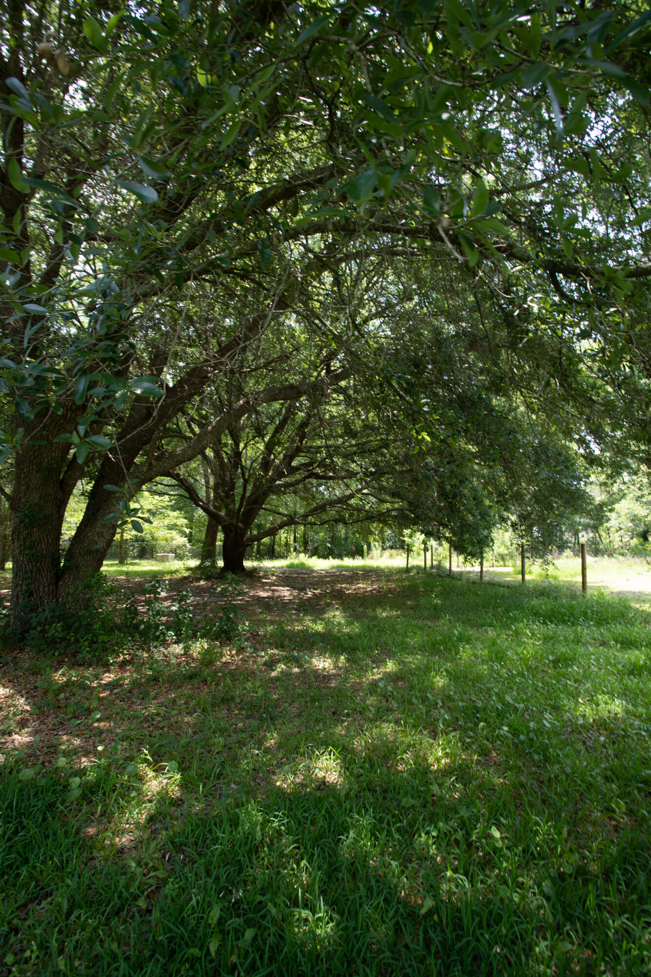 1608 State Rd S-8-449 Summerville, SC 29486 - Photo 31 of 37 IMG_9648