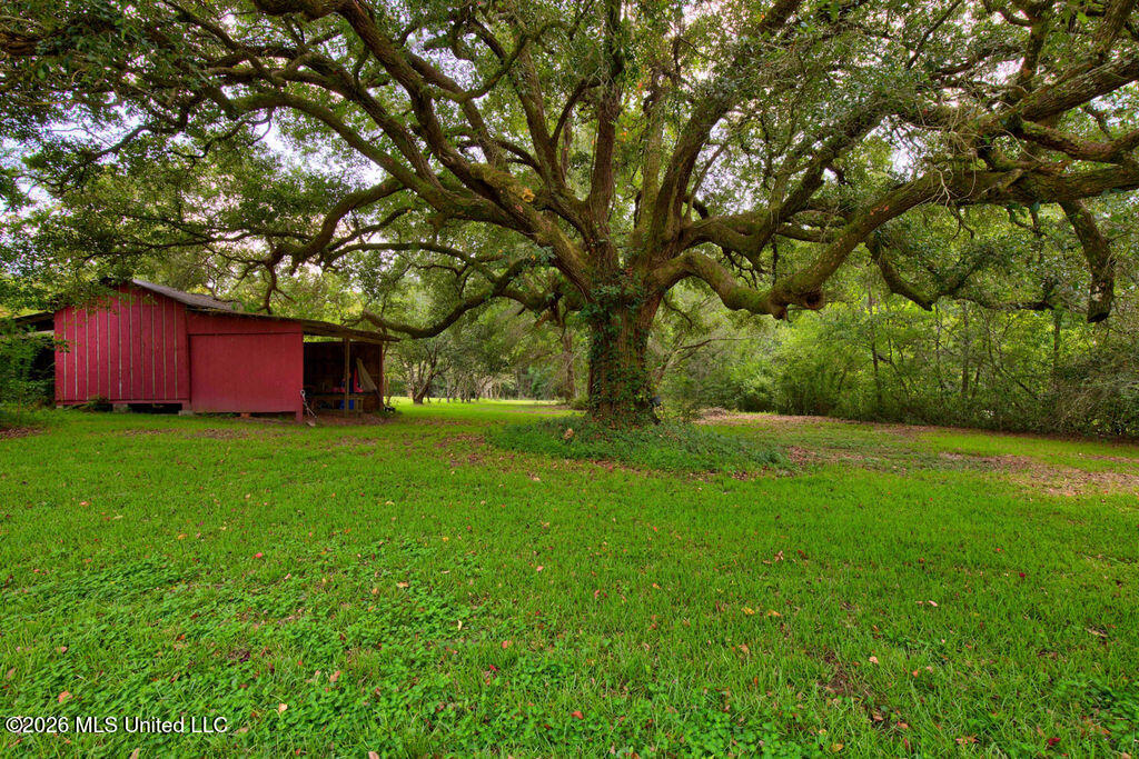 11257 Vidalia Road Pass Christian, MS 39571 - Photo 35 of 79 11257VidaliaRd.-41