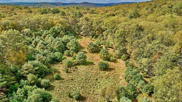 $99,000 | York Lake Road, Barryville, NY 12528