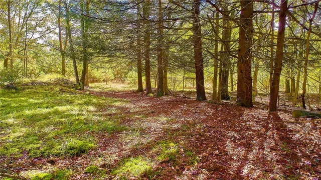 $99,000 | York Lake Road, Barryville, NY 12528