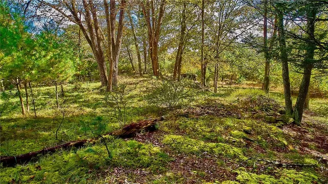 $99,000 | York Lake Road, Barryville, NY 12528