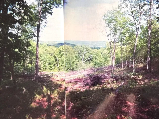 $99,000 | York Lake Road, Barryville, NY 12528