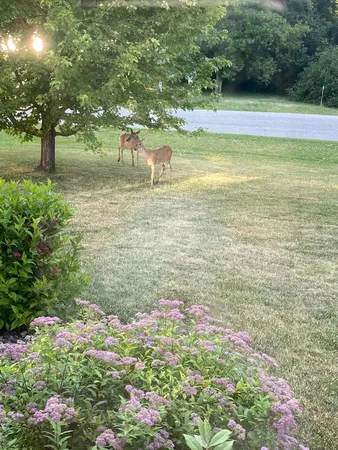 $497,000 | 4806 22nd Street Northeast, Willmar, MN 56201