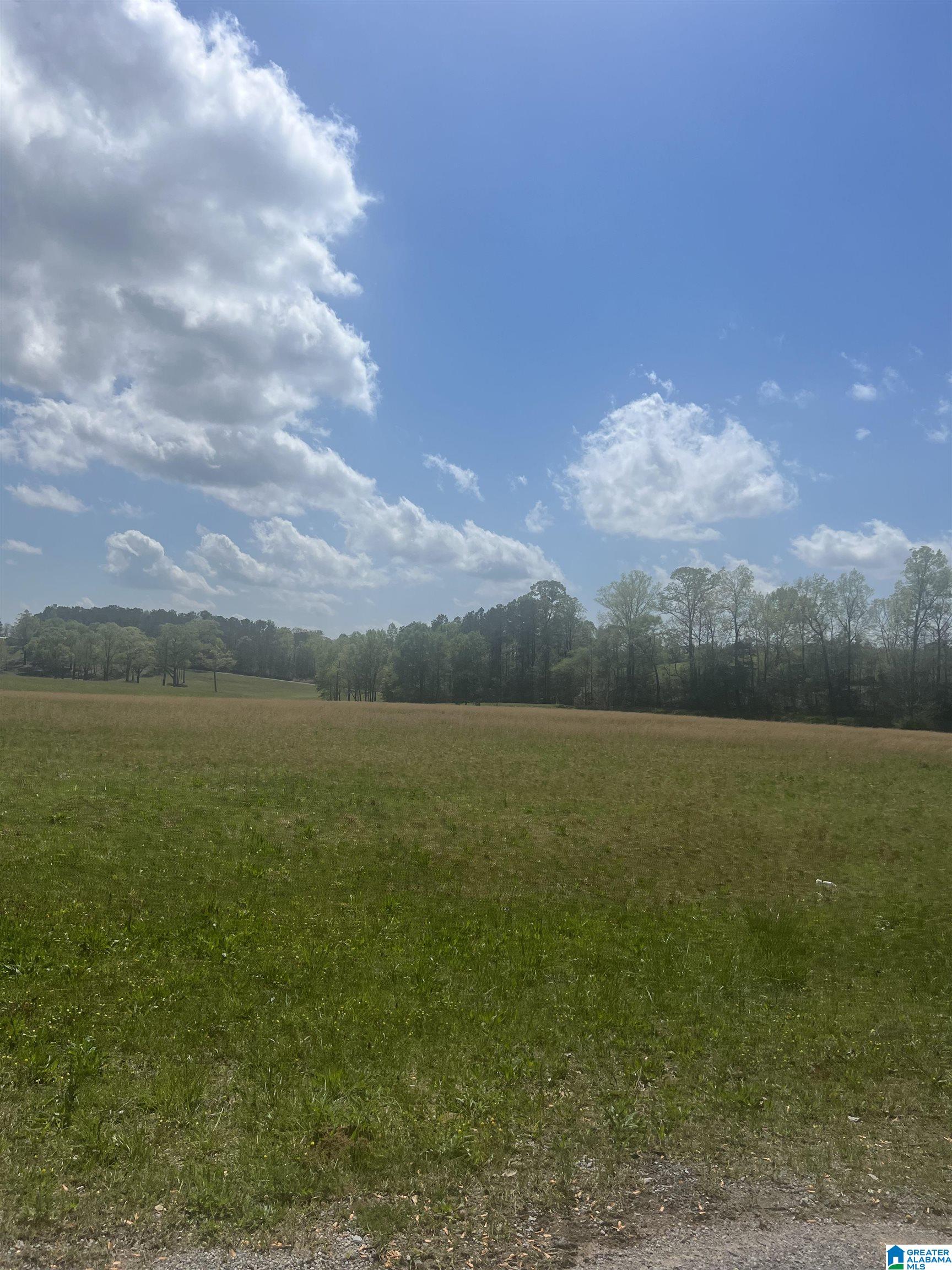 0 Old West Road Thorsby, AL 35171 - Photo 7 of 7