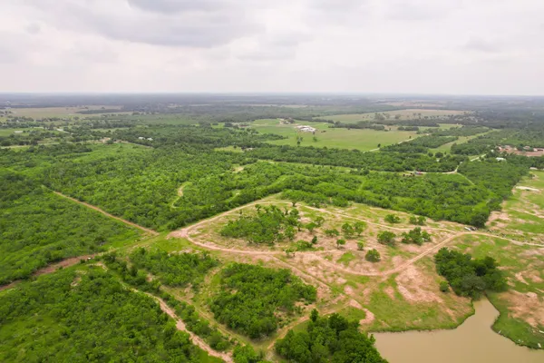 a view of a city with lush green forest